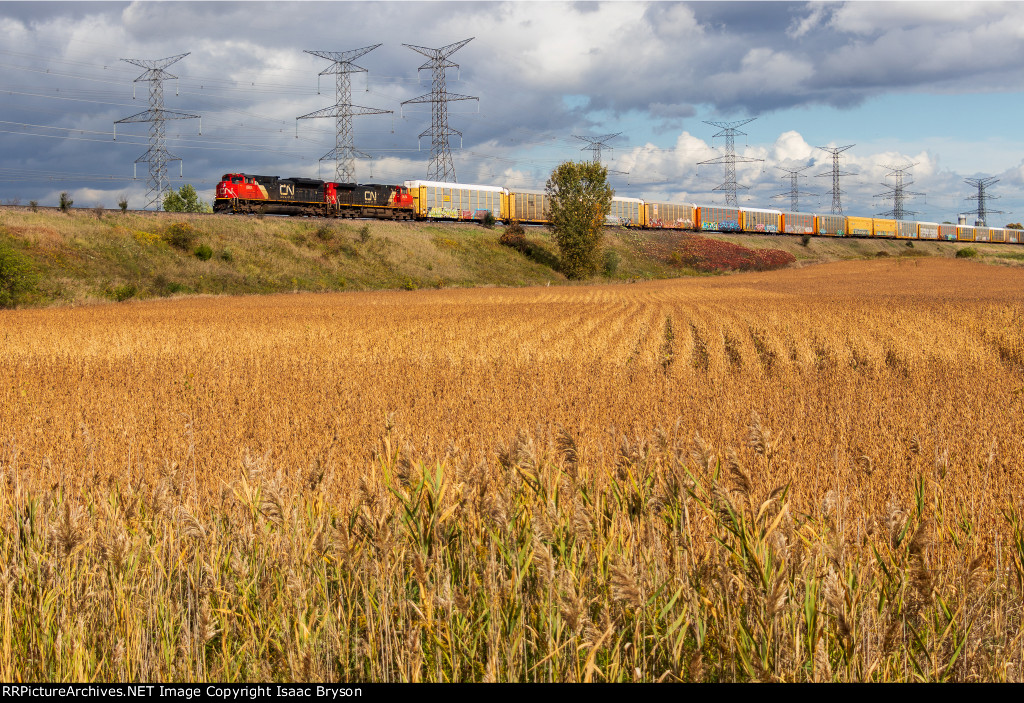 CN 8904